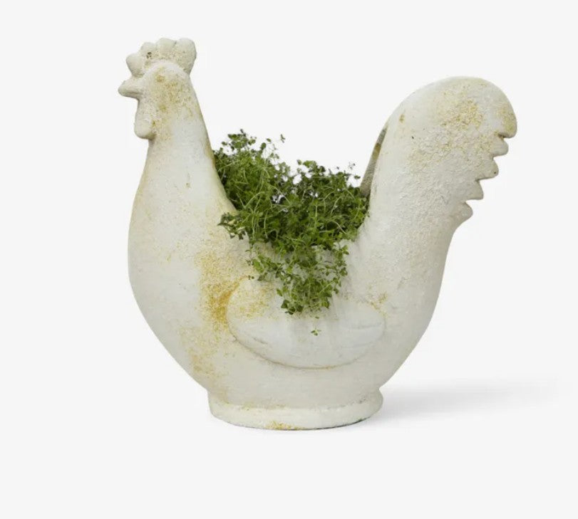 Chook Flower Pot