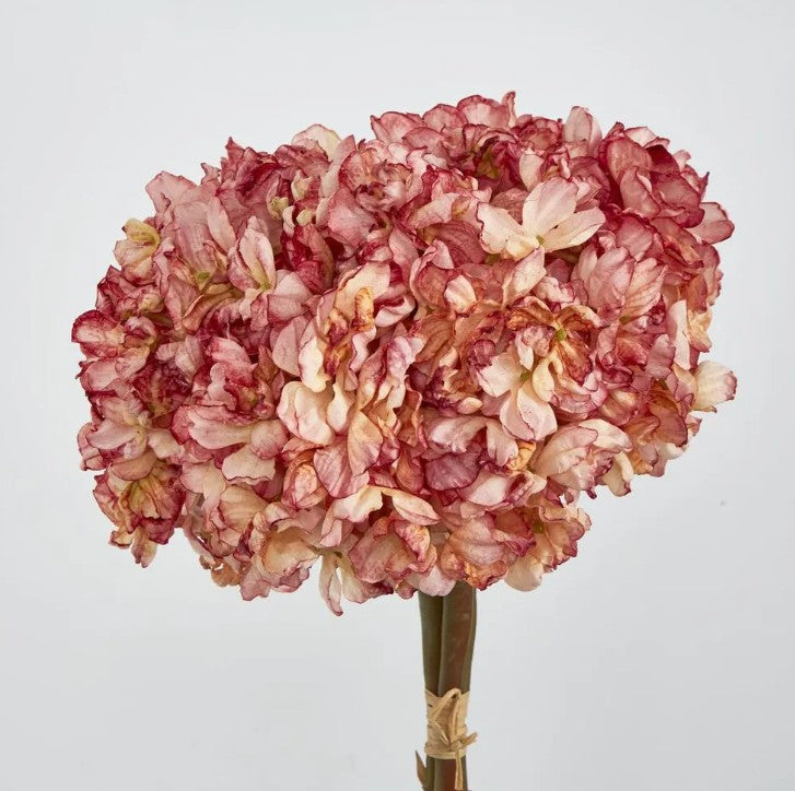 Dried Hydrangea - bundle of 3