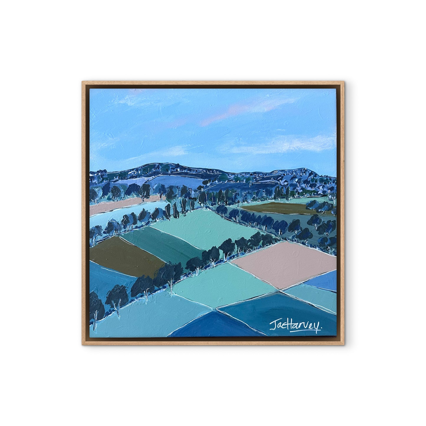 Jac Harvey Original - Blue Gum Views