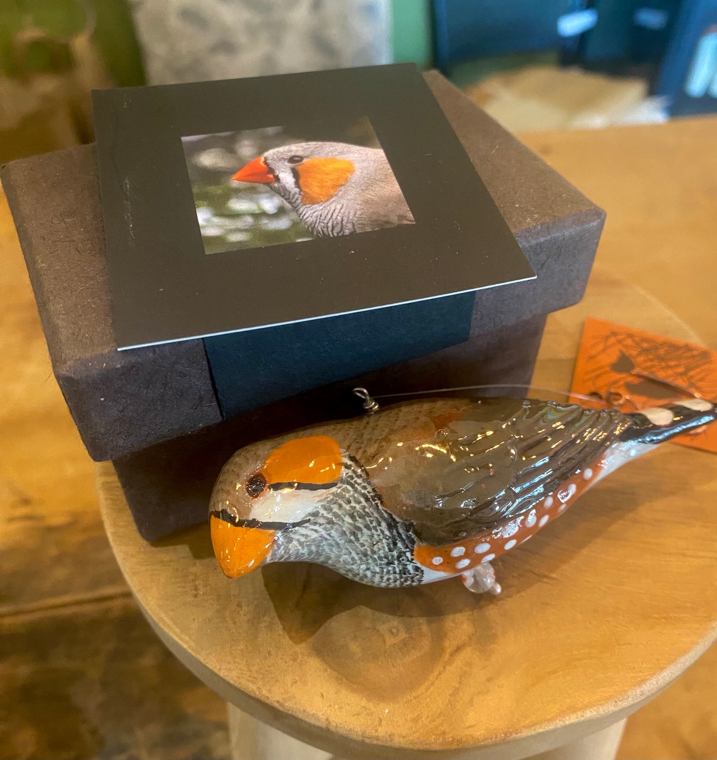 Margot Stephens BIRDS - Jewels of the Forrest Local Collection