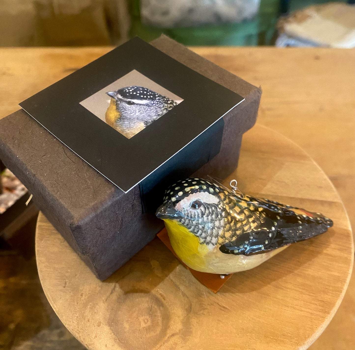Margot Stephens BIRDS - Jewels of the Forrest Local Collection