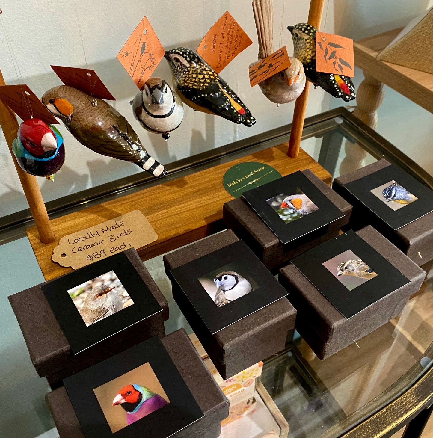 Margot Stephens BIRDS - Jewels of the Forrest Local Collection