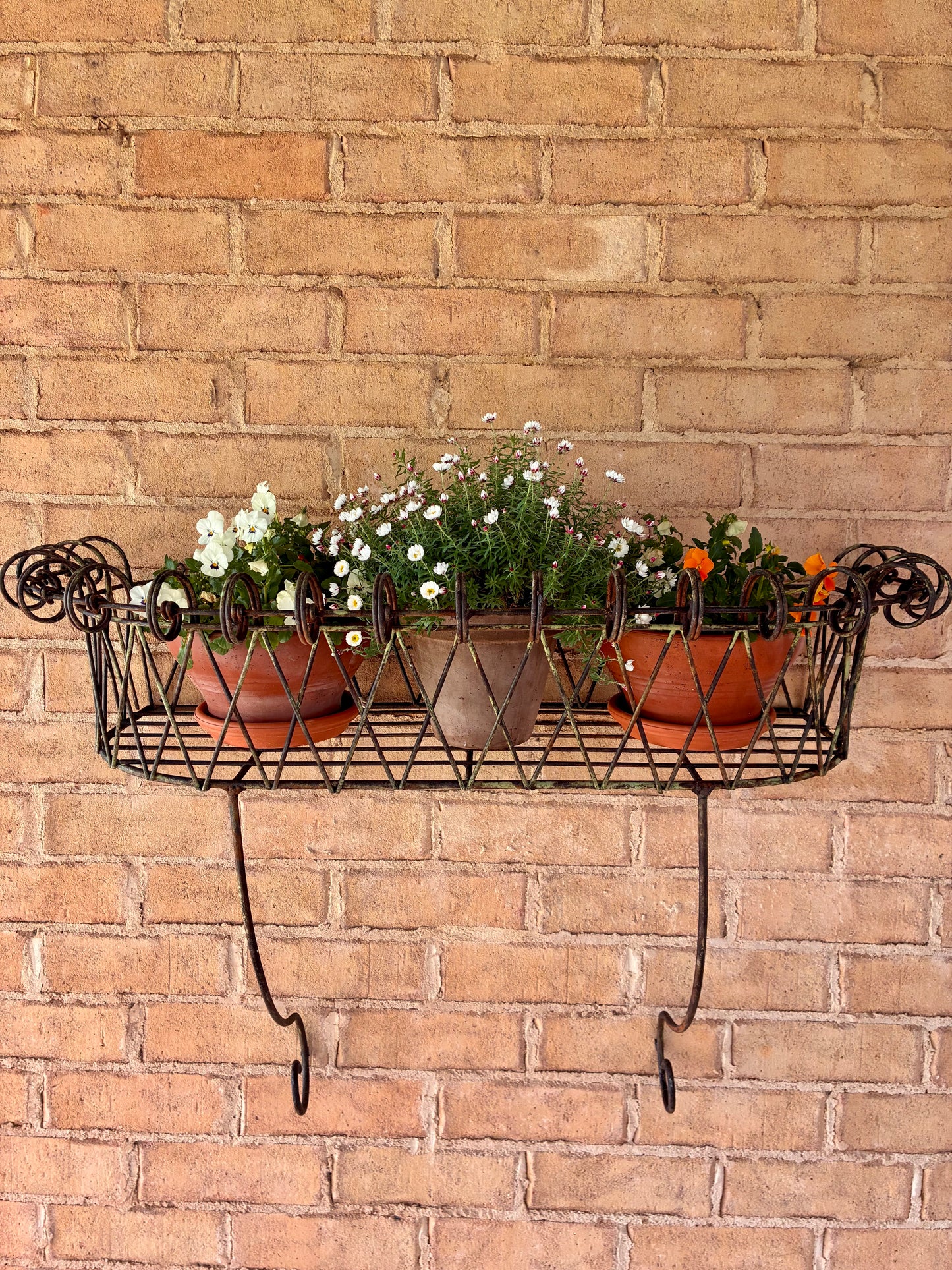 Vintage Wall Planter
