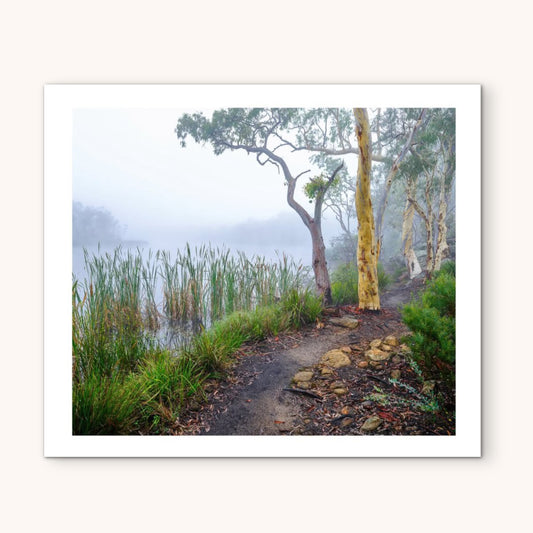David Payne Photography - " Gunguddy Gums"