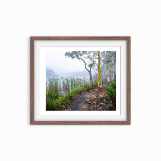 David Payne Photography - " Gunguddy Gums"