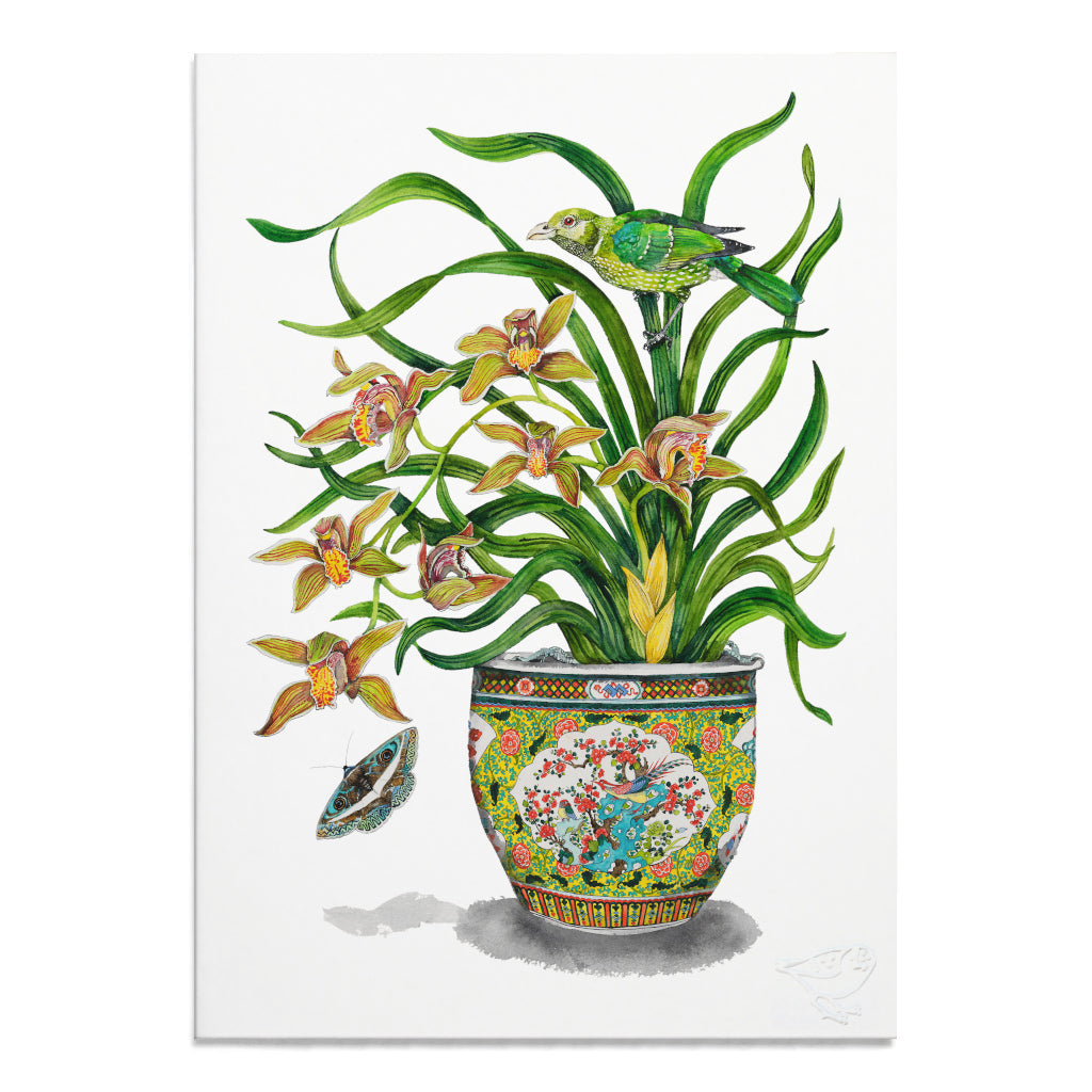 Denise Faulkner Watercolours - Tea Towels