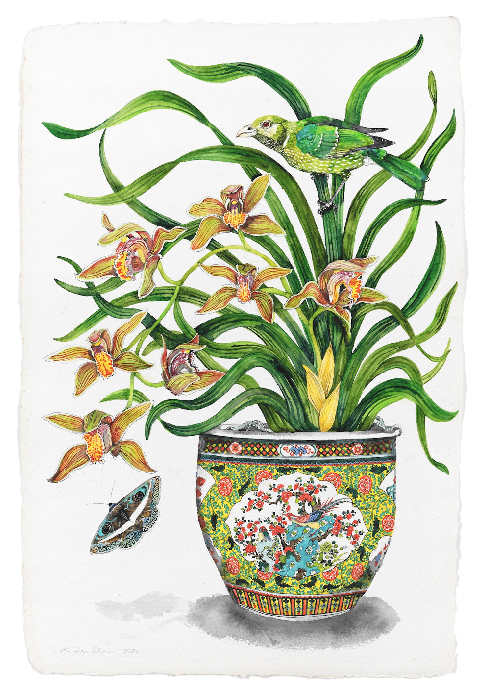 Denise Faulkner Watercolour - A4 Prints