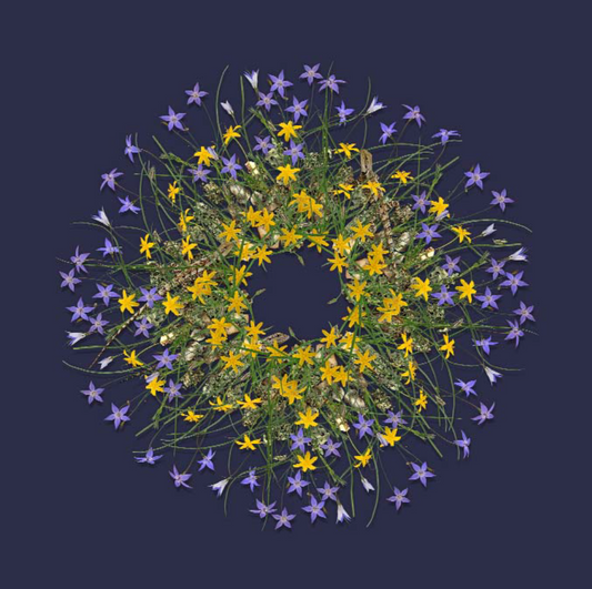 Jason McDonald- Bluebell, Golden Weather Grass, Lizards & Grasshoppers
