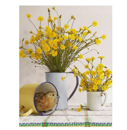 There's A Quail In My Cup - Jason Mcdonald Artwork