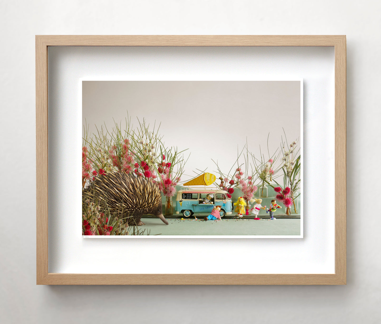 Jason McDonald Collection "Echidna in the Kitchen"