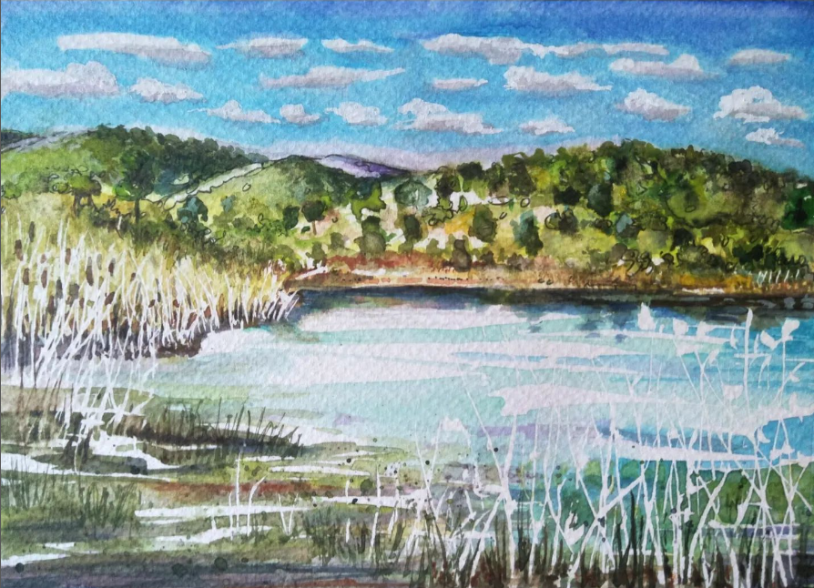 Anjee Du Terreau Hand painted Artwork - "Clouds Over Putta Bucca" 28x23