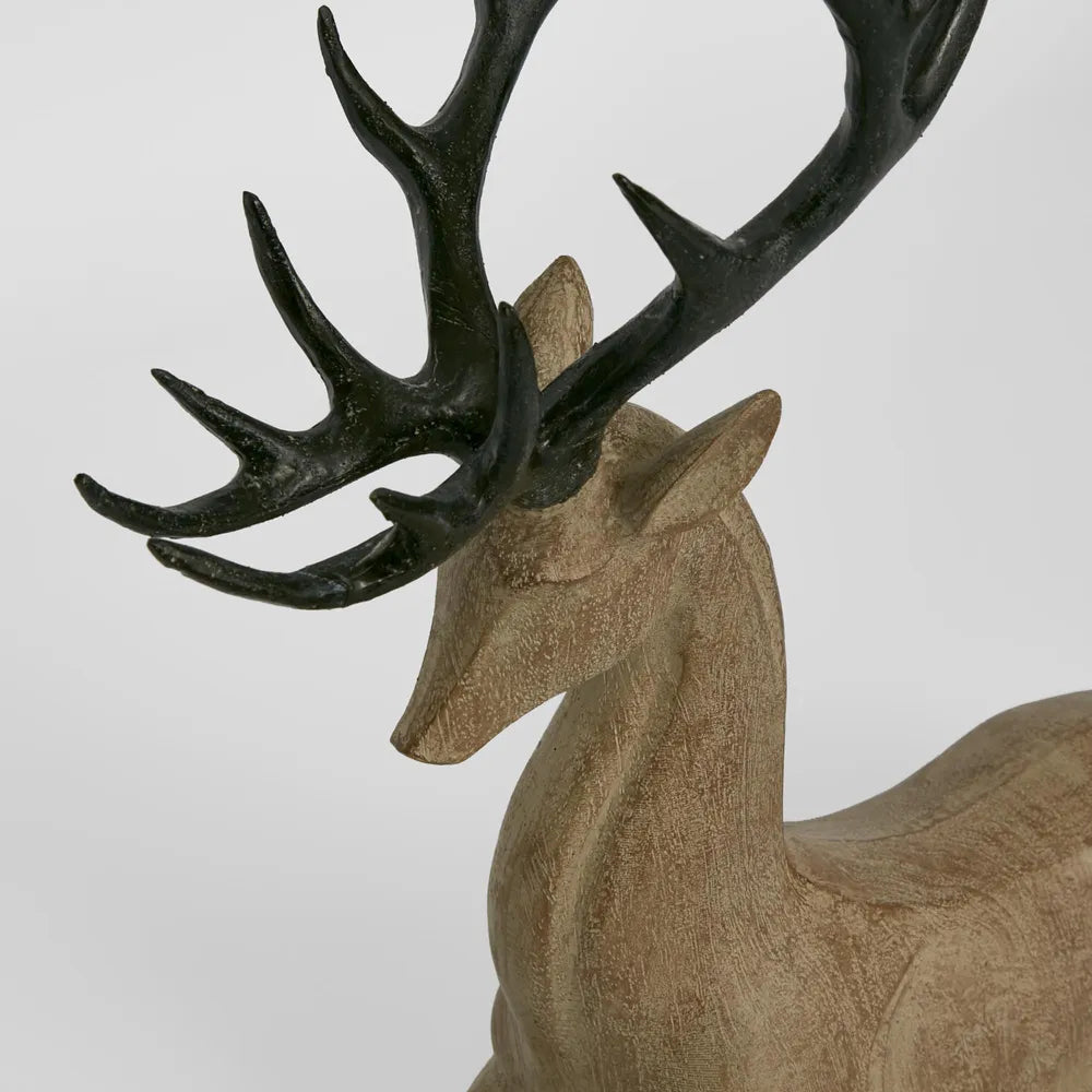 Lying Deer