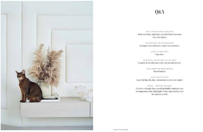 Coffee Table Book - House Cat