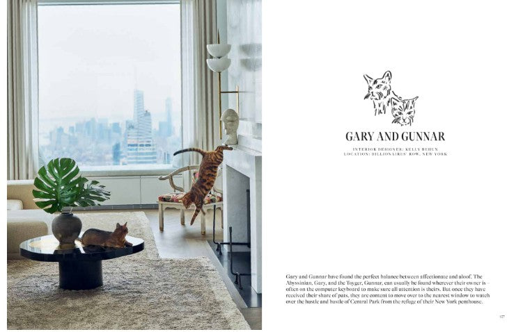 Coffee Table Book - House Cat