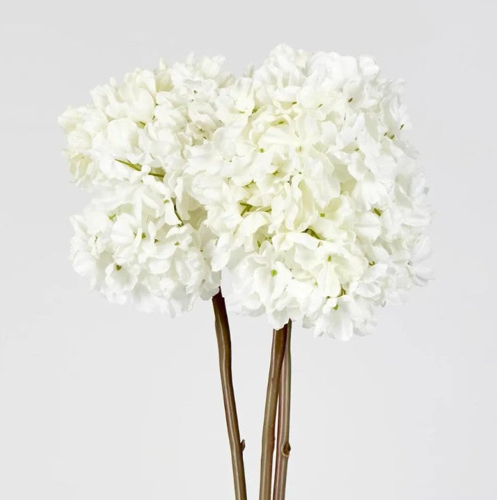 Dried Hydrangea - bundle of 3