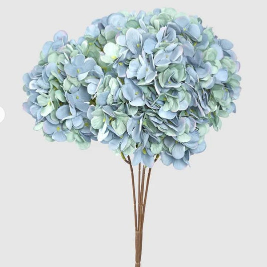 Hydrangea Bush Dark Blue