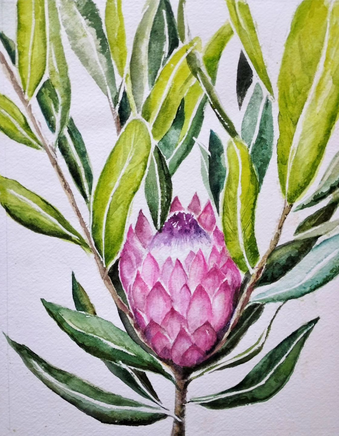 Anjee Du Terreau Hand painted Artwork - "Protea" 38x30