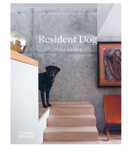 Book - Resident Dog