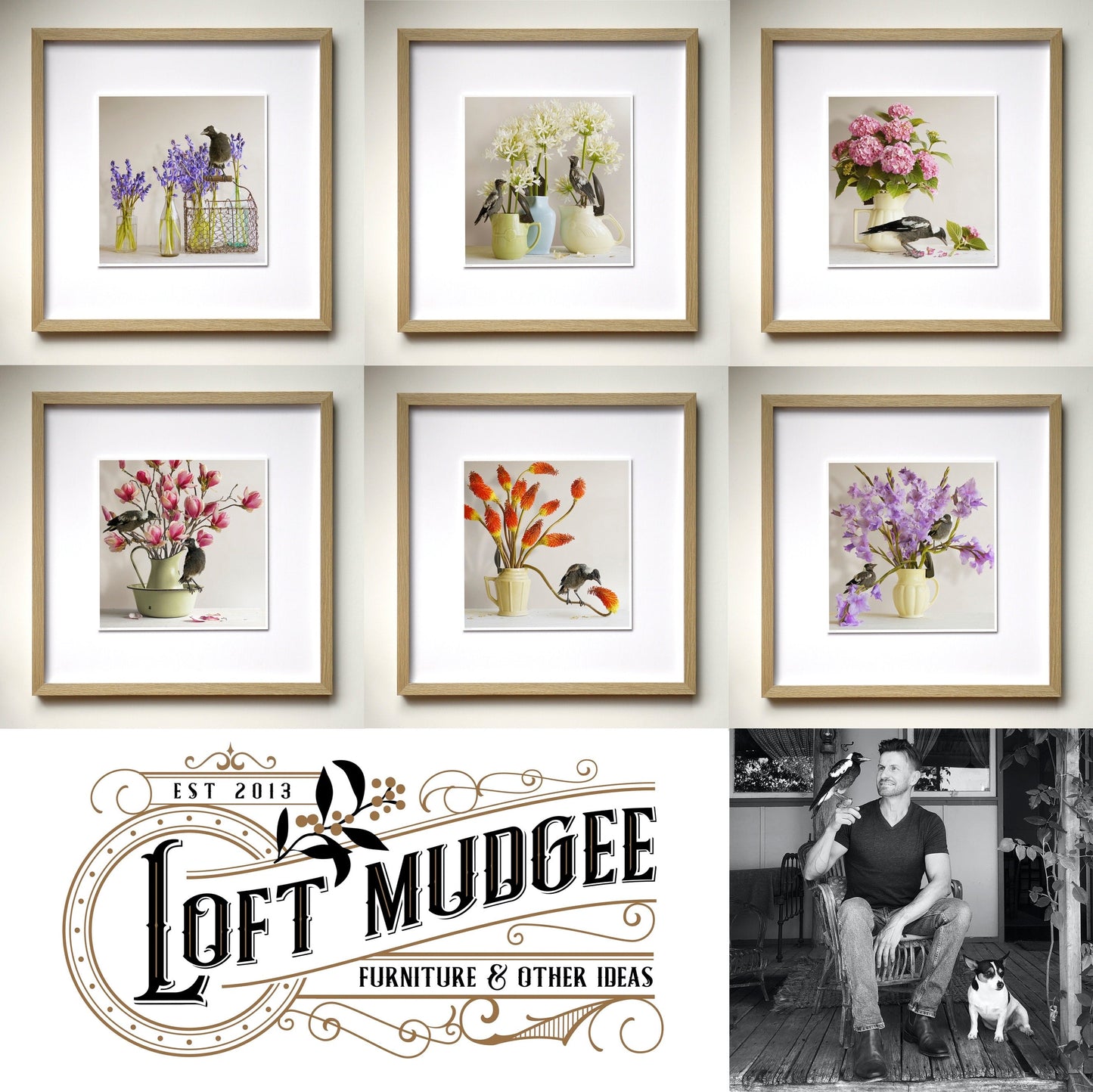 Magpies & Pink Magnolia - Framed Art by Jason McDonald Mudgee