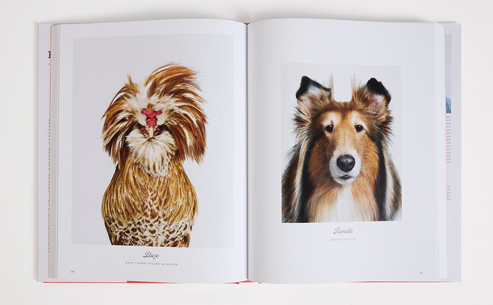 Book - Farm Life A Collection of Animal Portraits