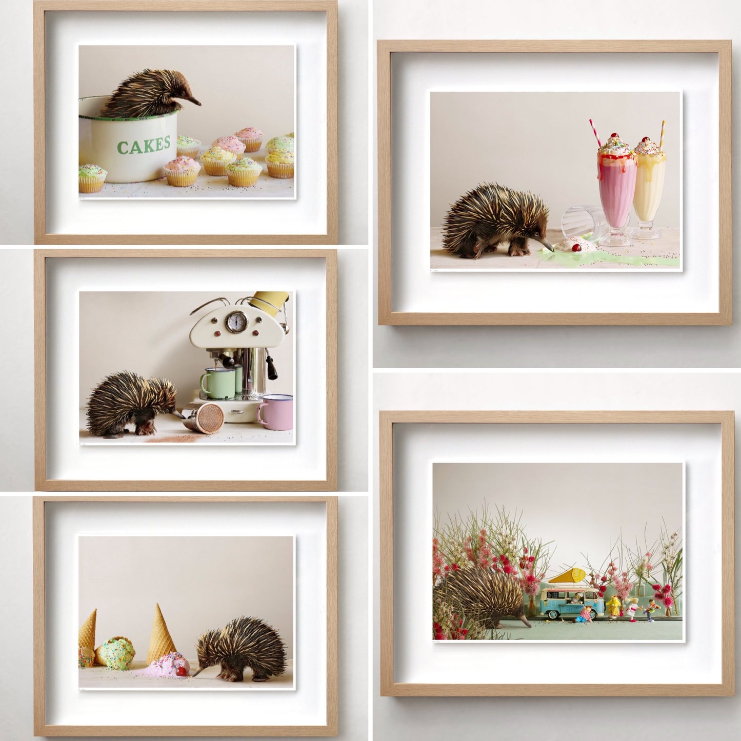 Jason McDonald Collection "Echidna in the Kitchen"