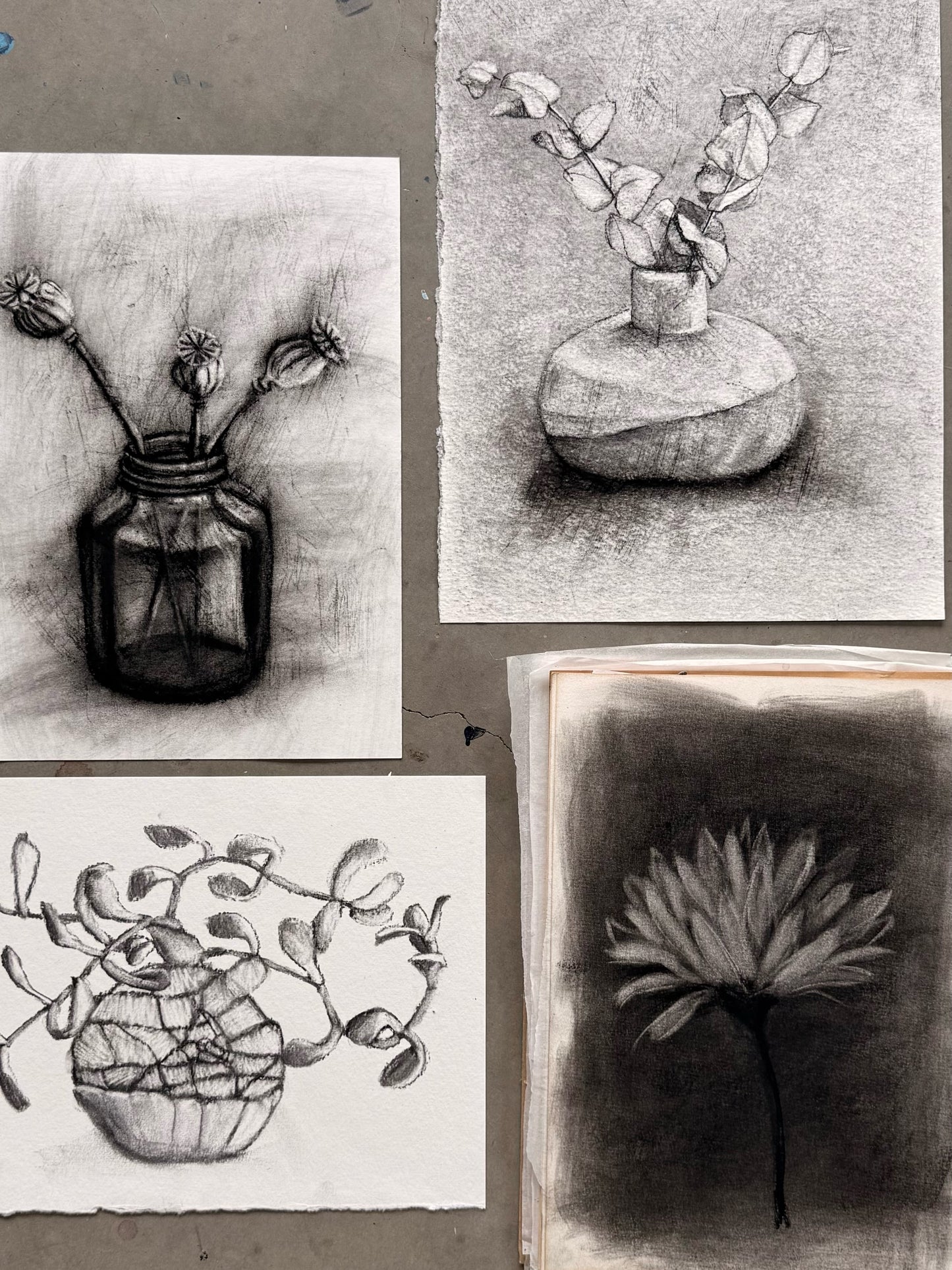 Art Experience - Expressive Charcoal Drawing with Michelle Steven;  Saturday 28th March