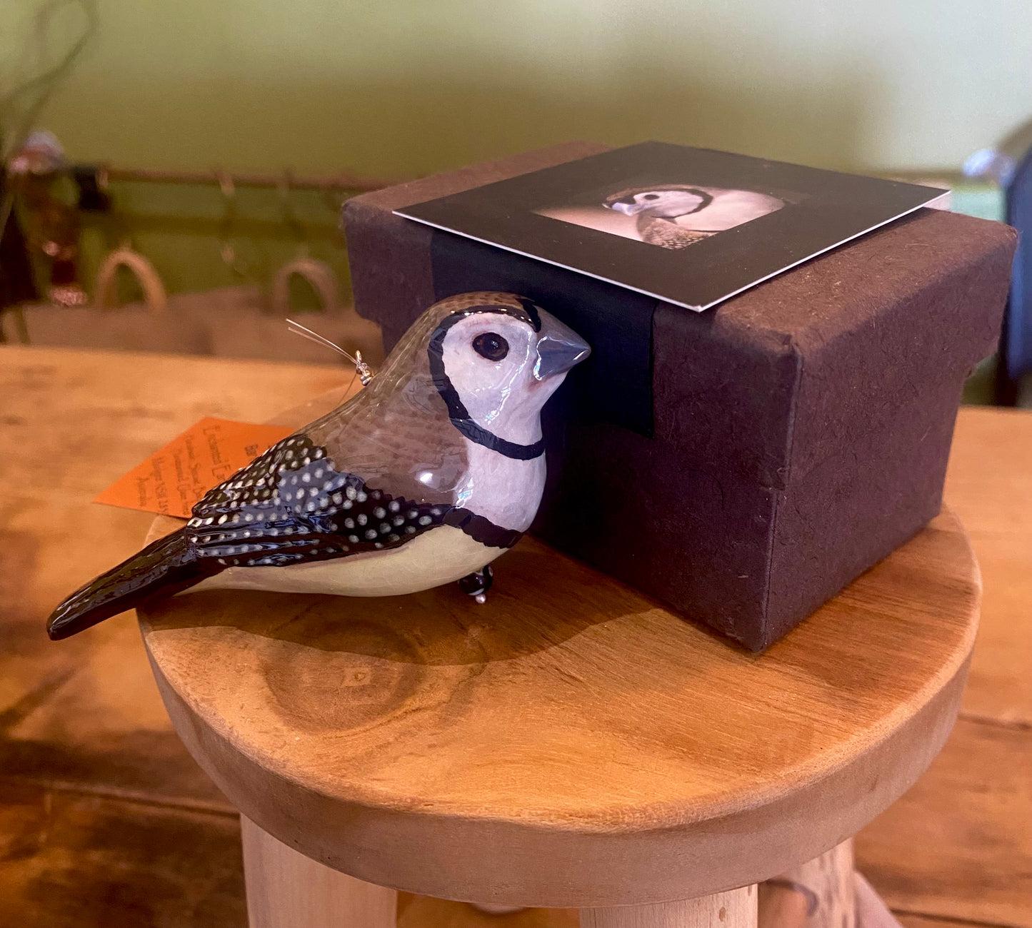 Margot Stephens BIRDS - Jewels of the Forrest Local Collection
