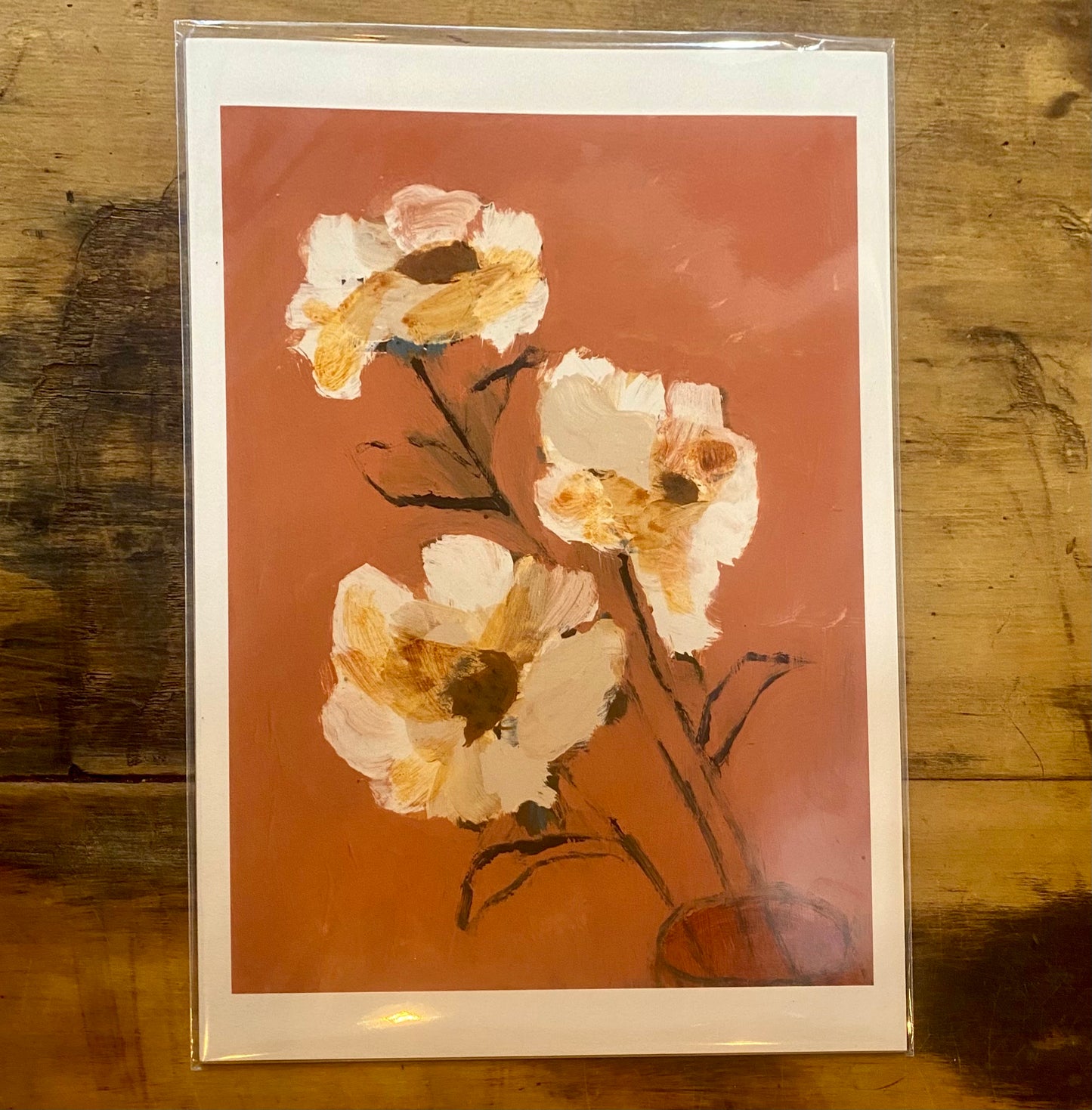 Holly Eva - A4 Prints