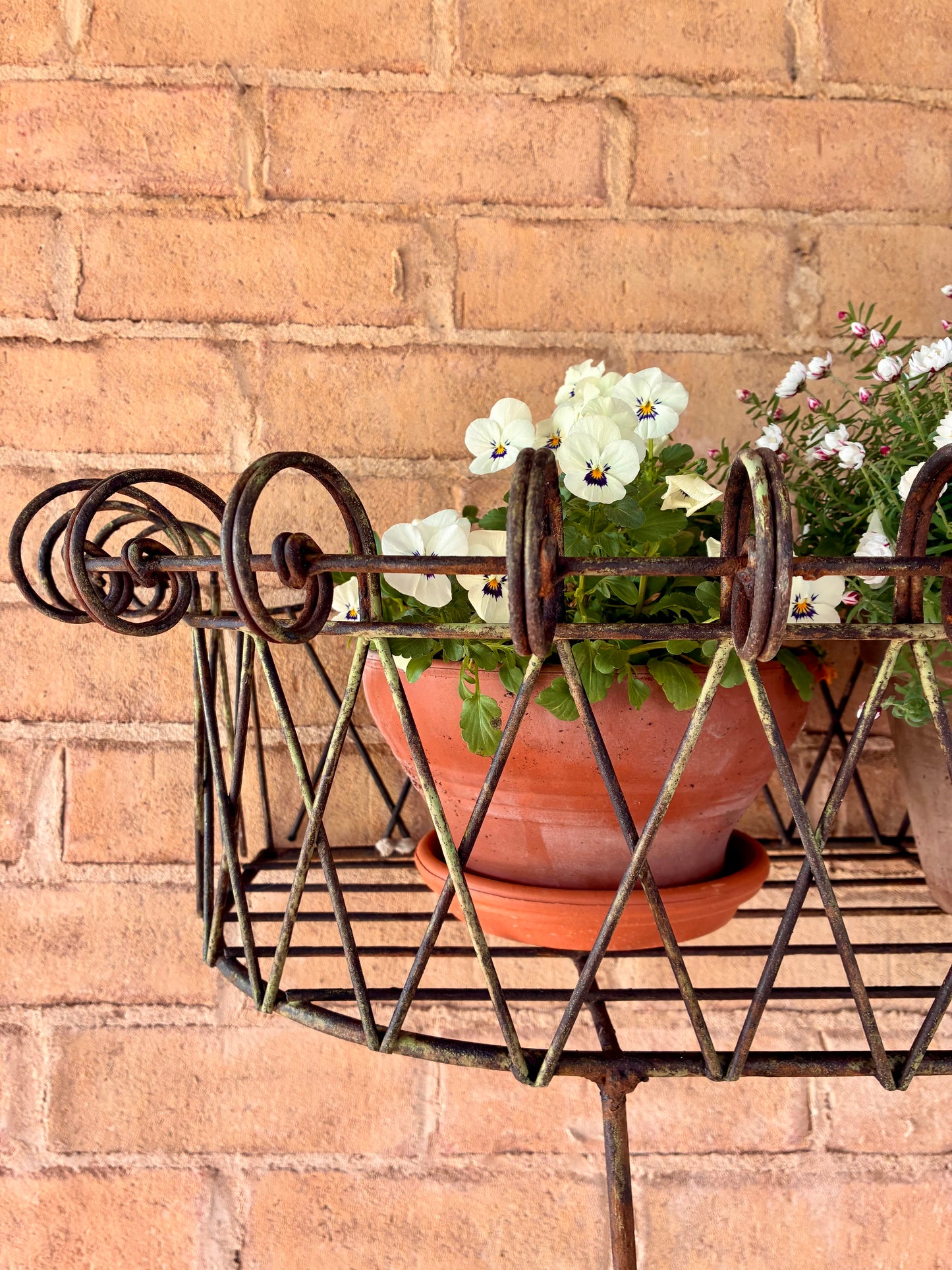 Vintage Wall Planter