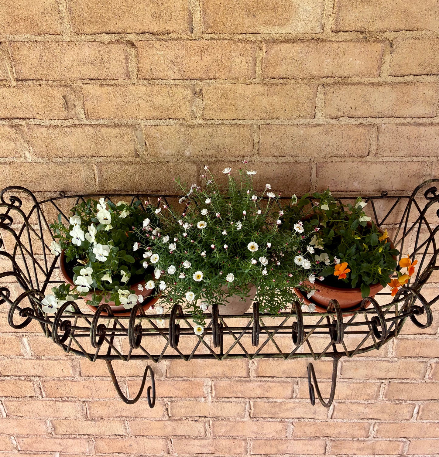 Vintage Wall Planter