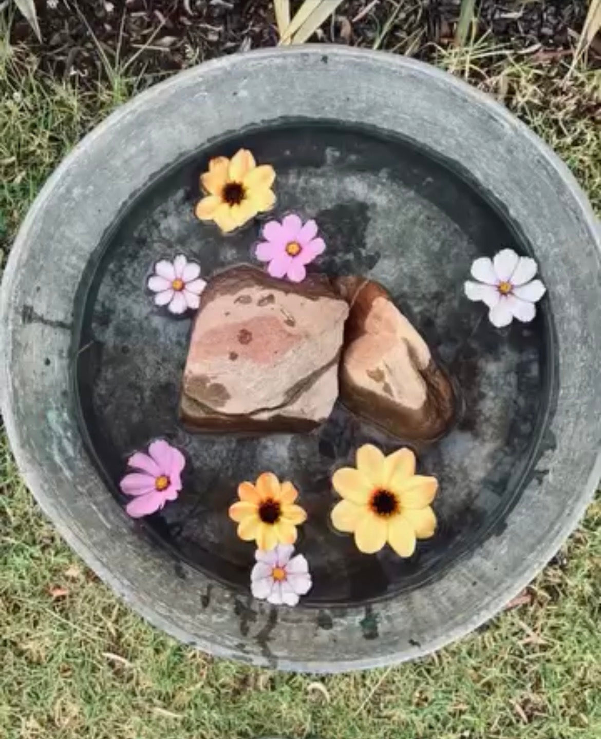 Iron and Copper Bird Bath/Planter