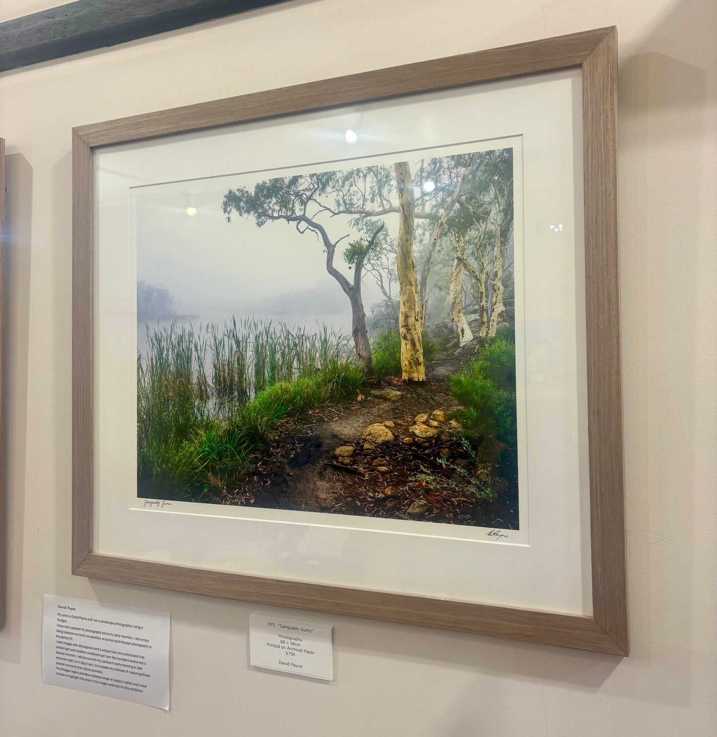 David Payne Photography - "  Gunguddy Gums"