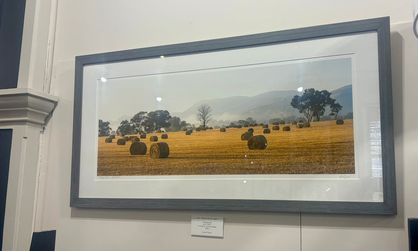 David Payne Photography - "  Spring Flat Hay Bales "