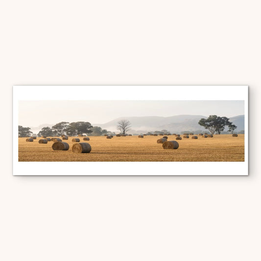 David Payne Photography - "  Spring Flat Hay Bales "