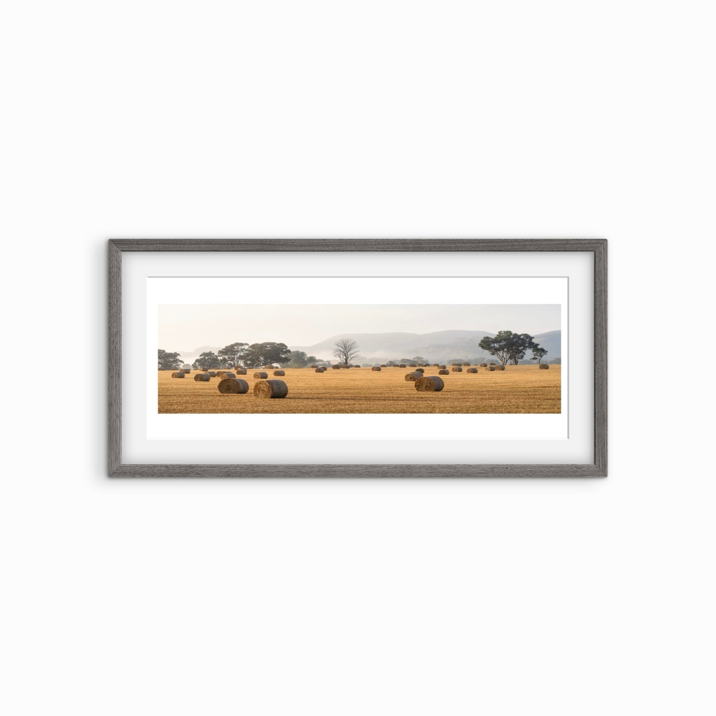 David Payne Photography - "  Spring Flat Hay Bales "