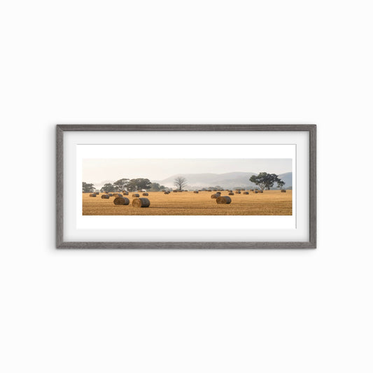 David Payne Photography - "  Spring Flat Hay Bales "