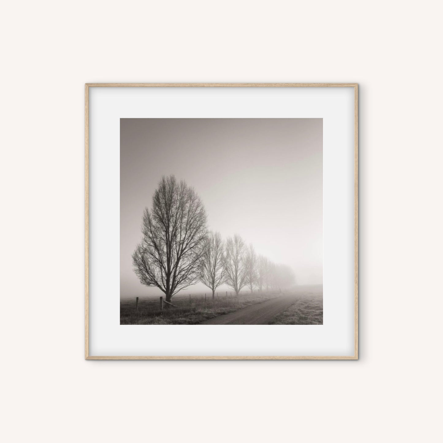 David Payne Photography - "Burrundulla"