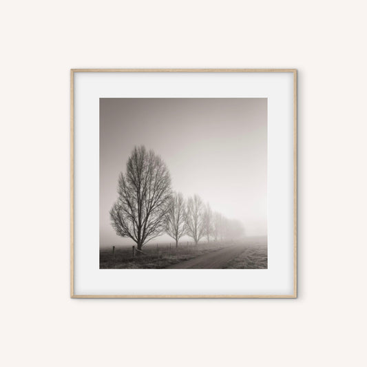 David Payne Photography - "Burrundulla"
