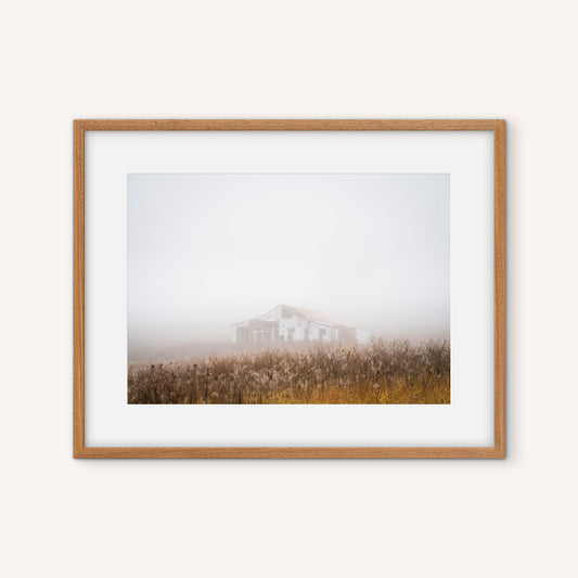 David Payne Photography - "Shearing Shed - Melrose Road"