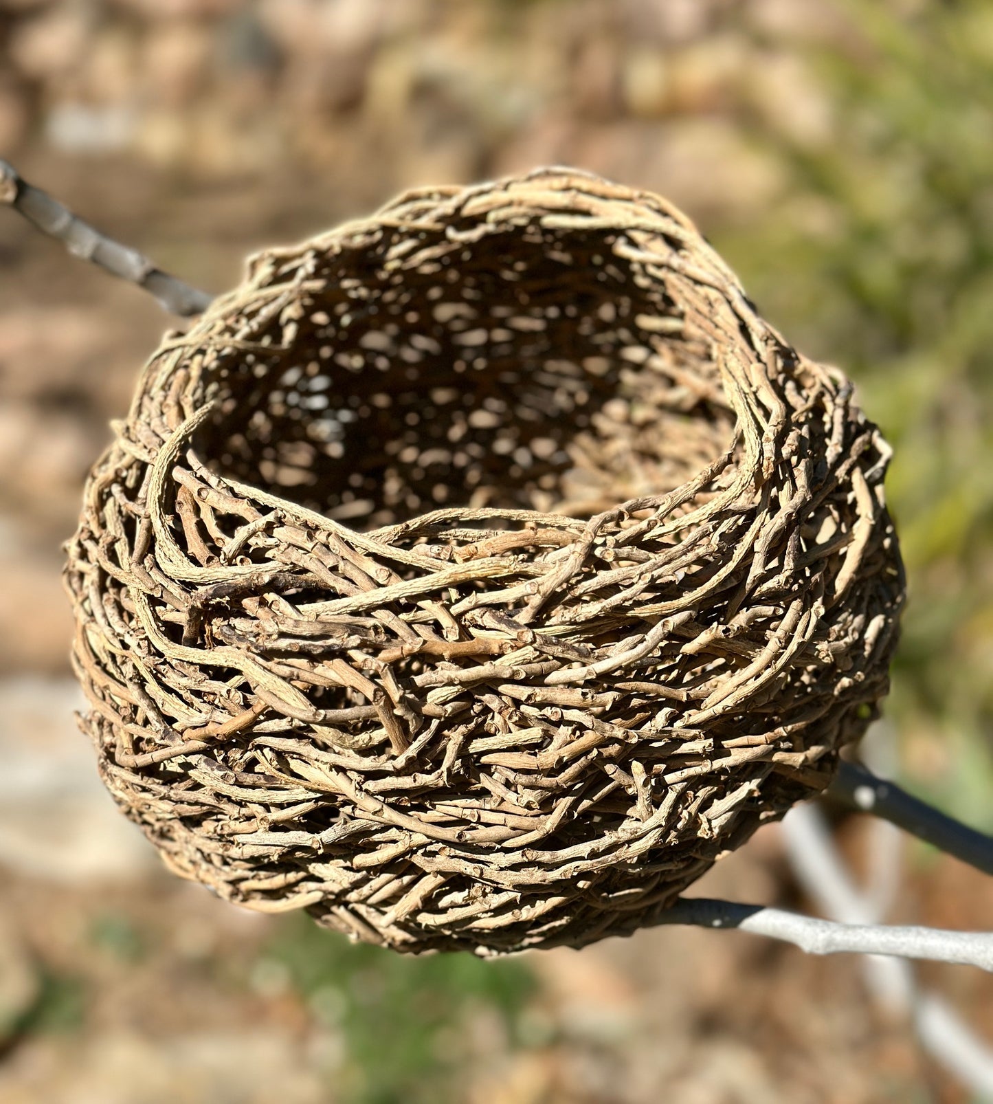 Random Weave Basketmaking Workshop