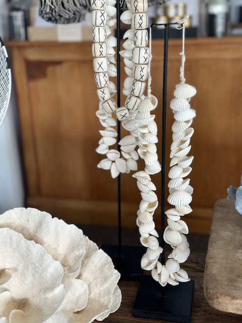 Cockle Shell necklace