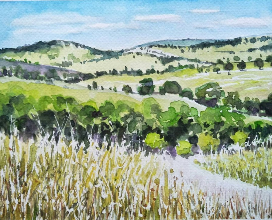 Anjee Du Terreau Original Watercolour -  "Piambong Hills " 38x30cm