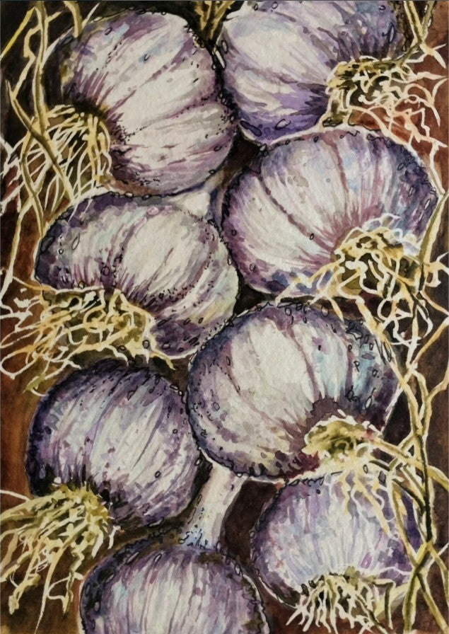 Anjee Du Terreau Original Watercolour -  "Garlic Harvest" 28x22cm