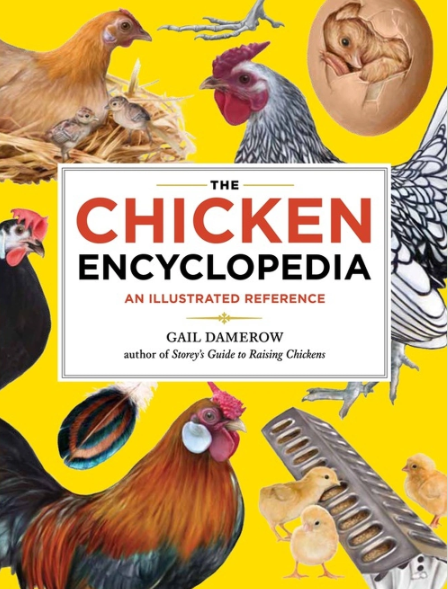 Book - Chicken Encyclopedia