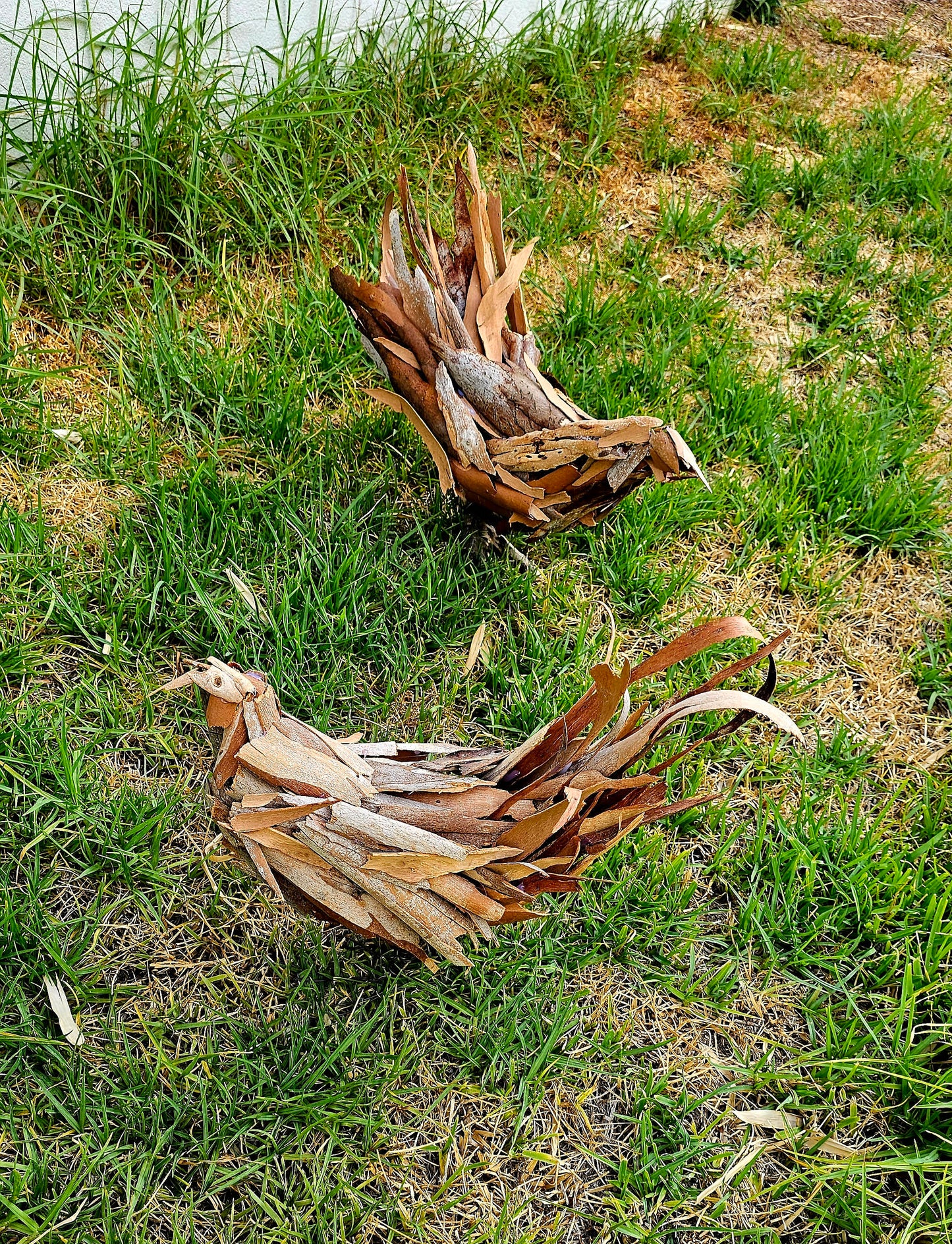 Art Experience - Chook Sculpture with Felicity Cavanough; Saturday 21st March