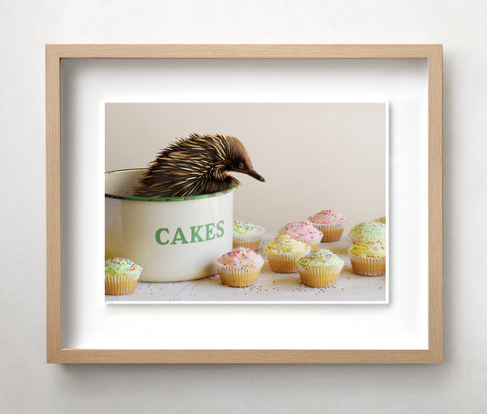 Jason McDonald Collection "Echidna in the Kitchen"