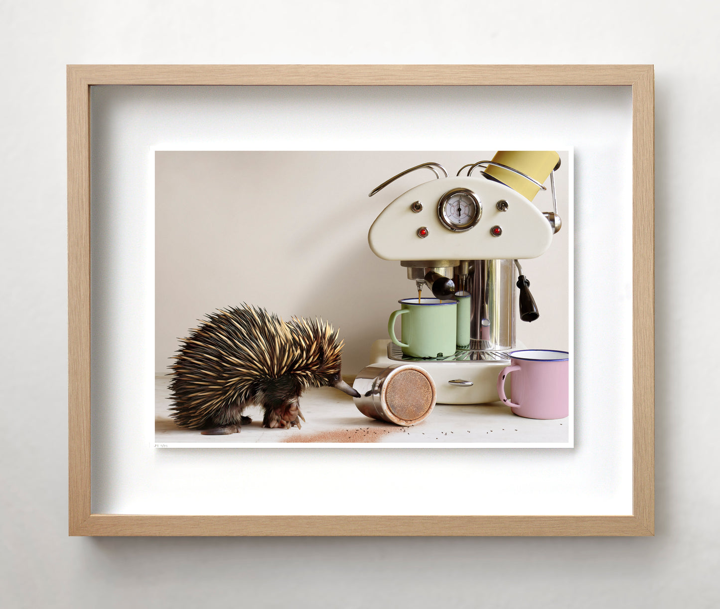 Jason McDonald Collection "Echidna in the Kitchen"
