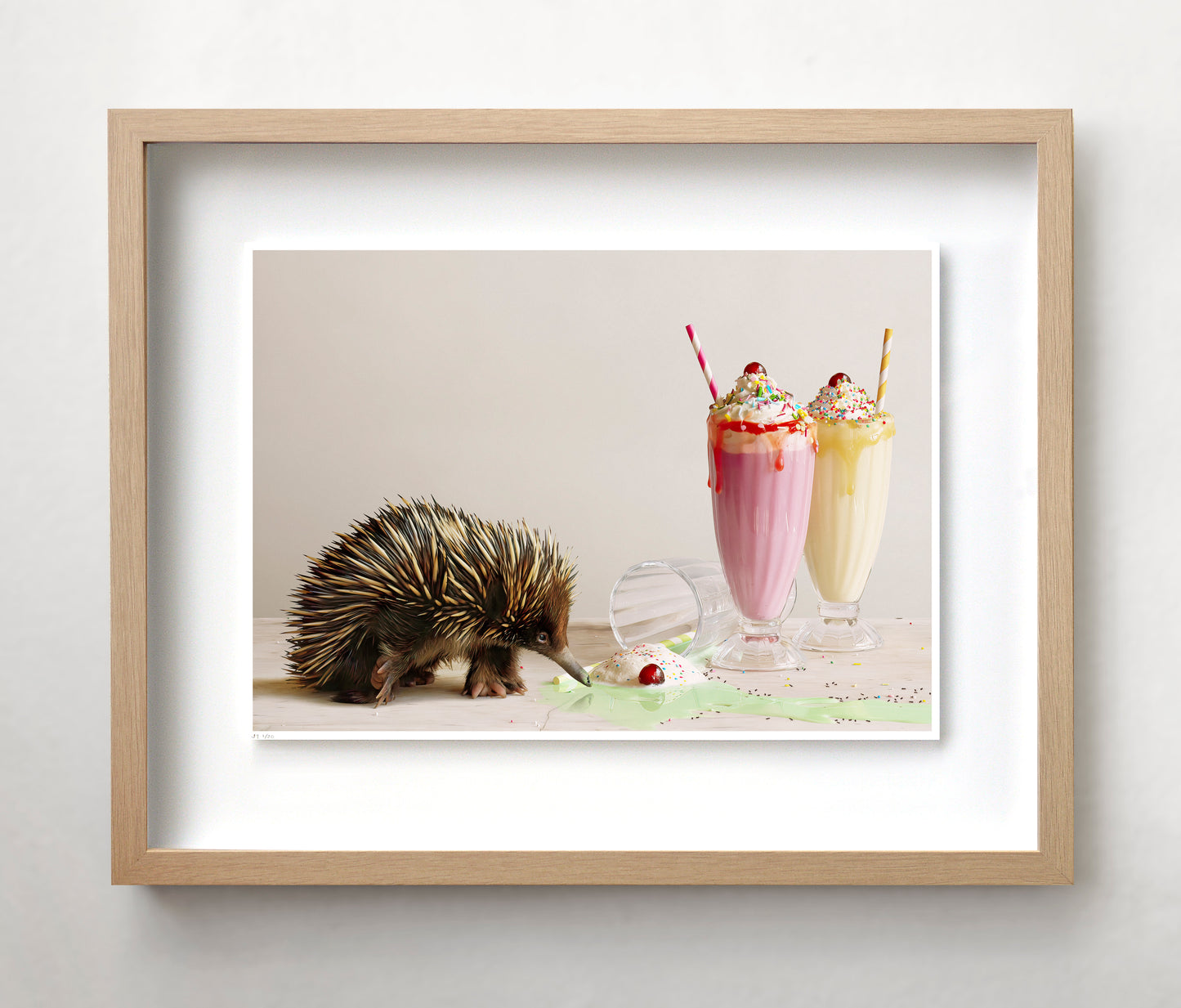 Jason McDonald Collection "Echidna in the Kitchen"