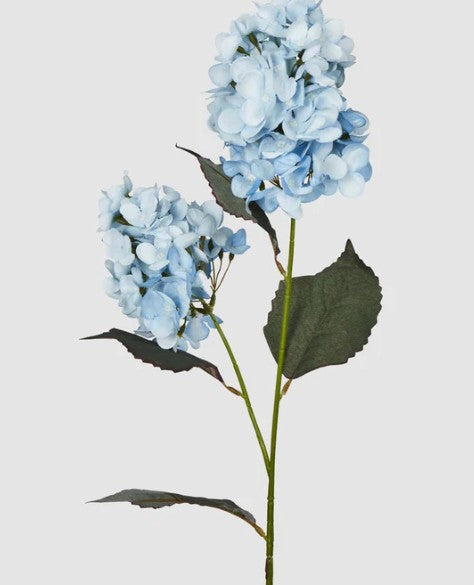 Cone Hydrangea 93cm