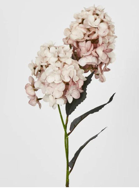 Cone Hydrangea 93cm